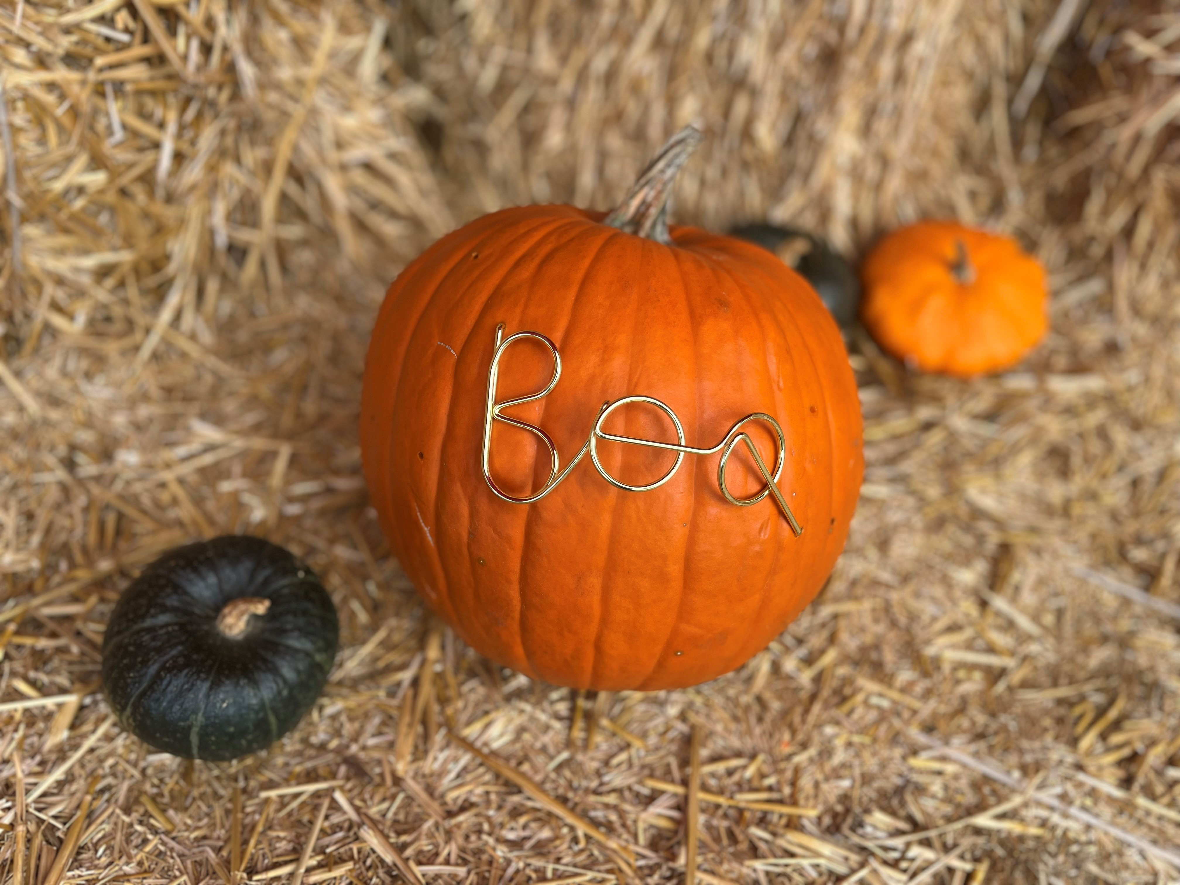 Kürbis Stecker aus goldenem Draht  geschwungener Schriftzug