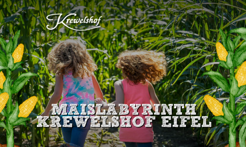 Maislabyrinth 2025