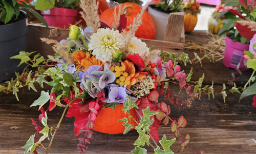 Kürbis- Workshop &  Helloween-Kürbisgesteck