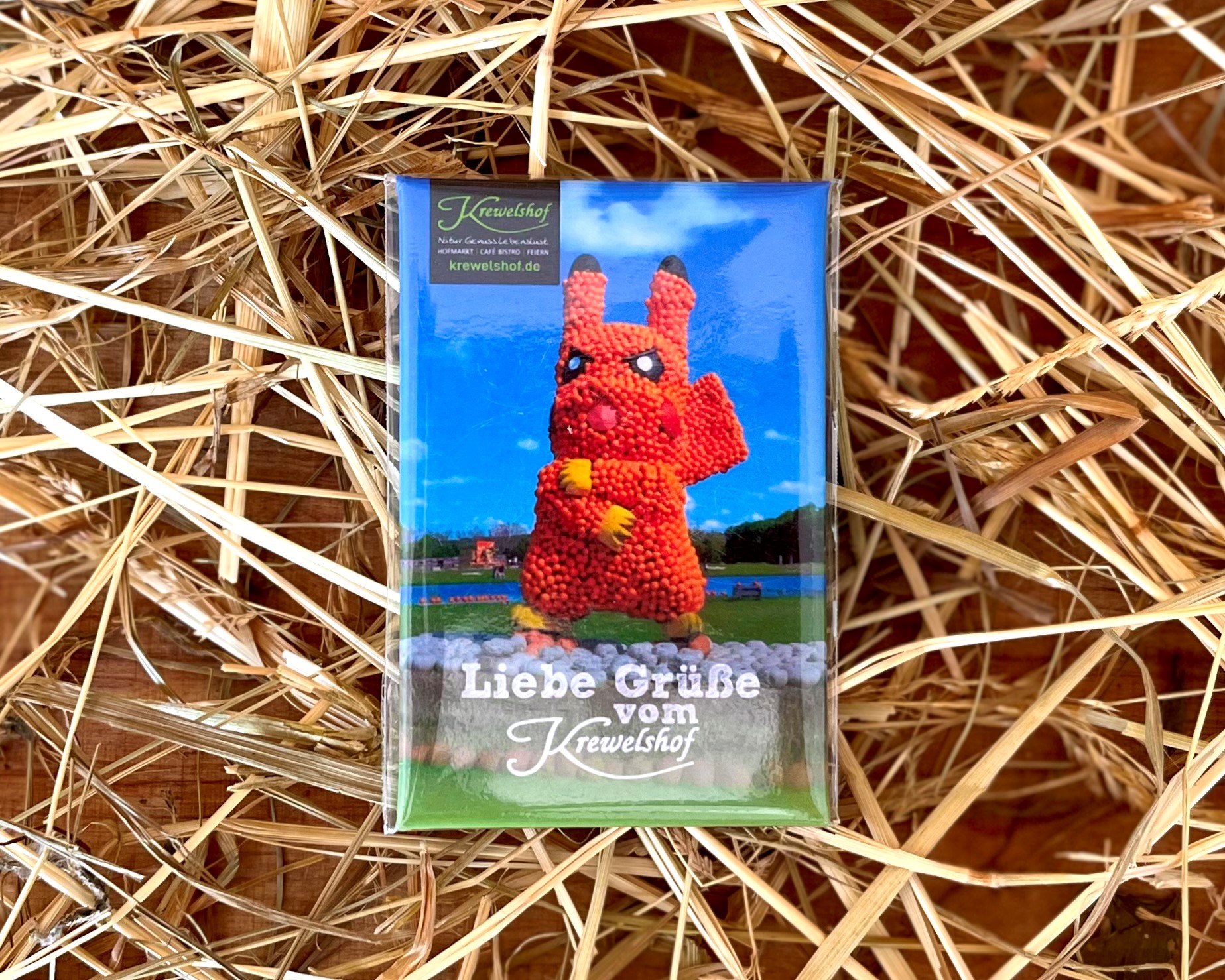 Krewelshof Magnet Kürbisshow