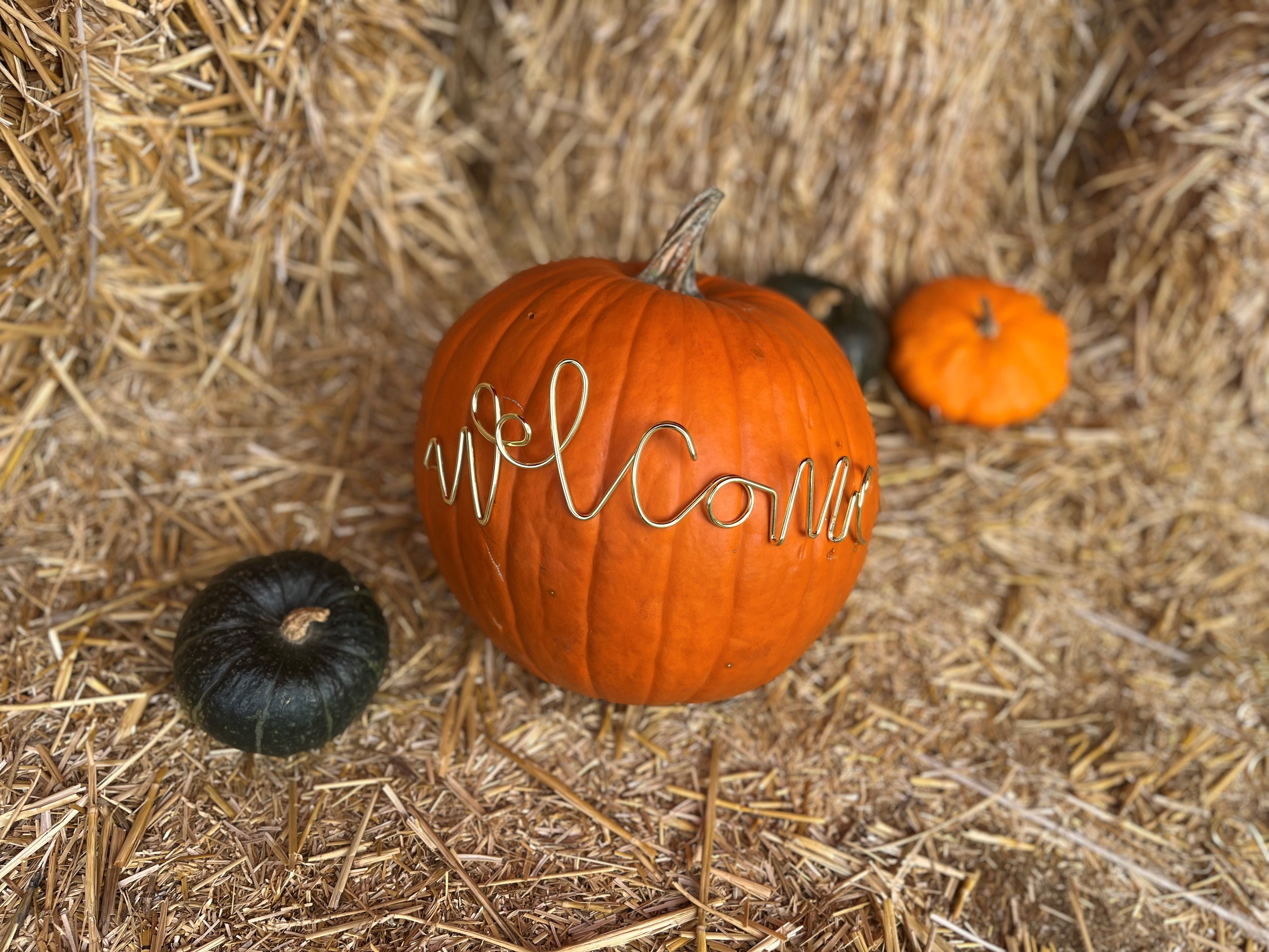 Kürbis Stecker aus goldenem Draht  geschwungener Schriftzug